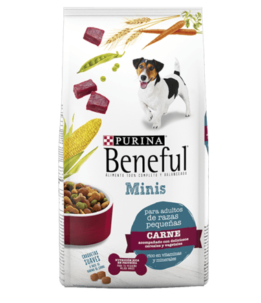 Comida Seca Perro Beneful Adult Mini Small Breed 2 Kg