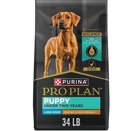 Comida Seca Perro Pro Plan Puppy Large Breed 34 LB