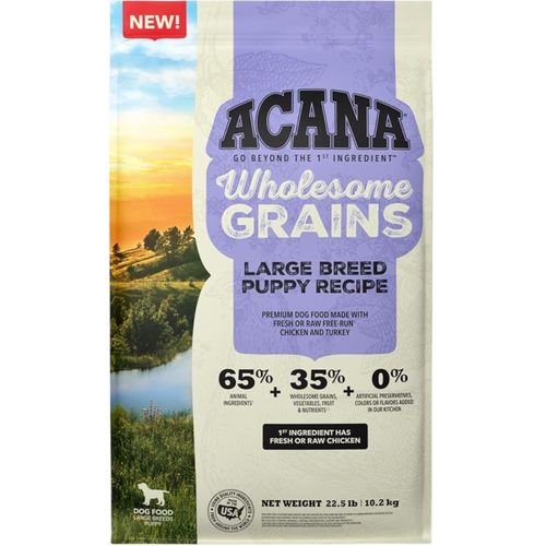 Comida Seca Perro Wholesome Grains Large Breed Puppy 22.5 lb