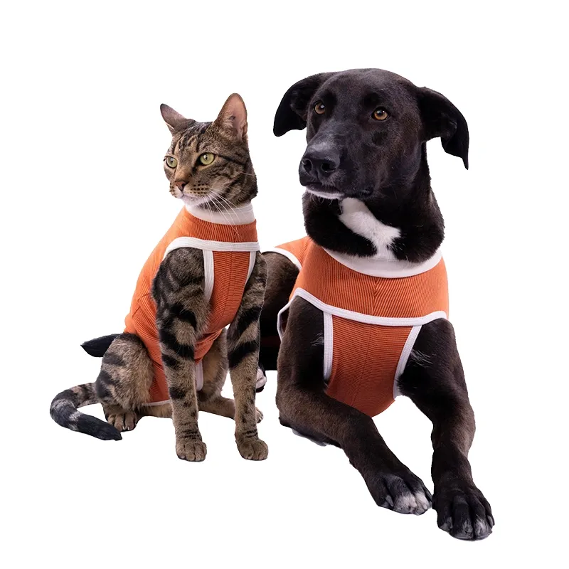 Body Post-Operatorio de Cobre para Mascotas - Tradicional Talla 12-1762529972093