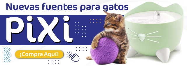 Fuentes pixi
