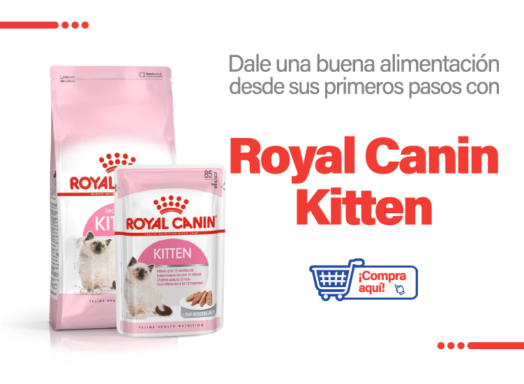 Comida para gatito Royal Canin Kitten